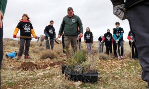 'Plantación en red', de WWF