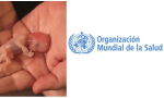 En Hispanidad hemos alertado cómo la Organización Mundial de la Salud (OMS) —el organismo de Naciones Unidas para la salud— se ha convertido en el mayor promotor del aborto a nivel internacional