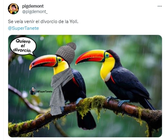 tucan