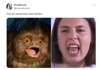 parecidos