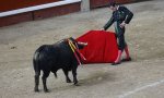 ¿Por qué la tauromaquia es la Fiesta Nacional española?