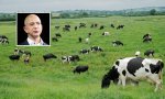 Se sigue declarando la guerra a las vacas... y a sus flatulencias por ser contaminantes: ahora se suma Jeff Bezos