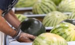 La sandia es sin duda una de las frutas más demandadas por su gran contenido en agua