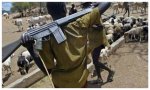 Un pastor de etnia fulani, armado con un fusil Kalashnikov, vigila un rebaño de vacas