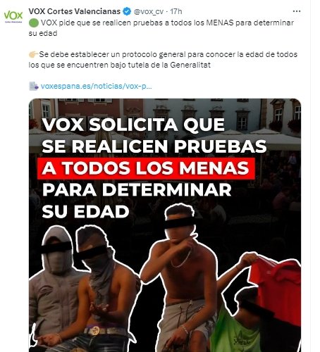 Vox Valencia