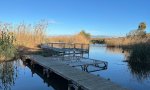 El Clot de Galvany (Alicante), paraje natural protegido con gran biodiversidad