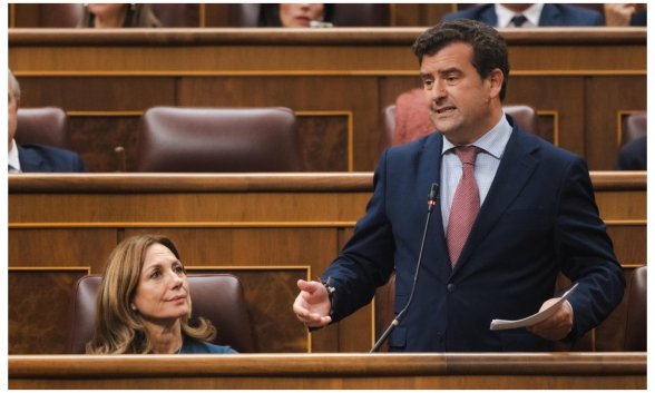 El diputado nacional de Vox por Ciudad Real, Ricardo Chamorro ha expresado su “absoluto rechazo” hacia el atroz delito que tuvo lugar de forma pública en las calles de Bolaños de Calatrava