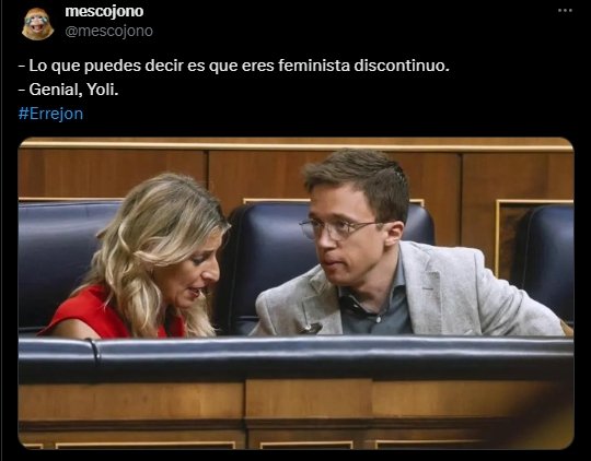 Feminista discontinuo