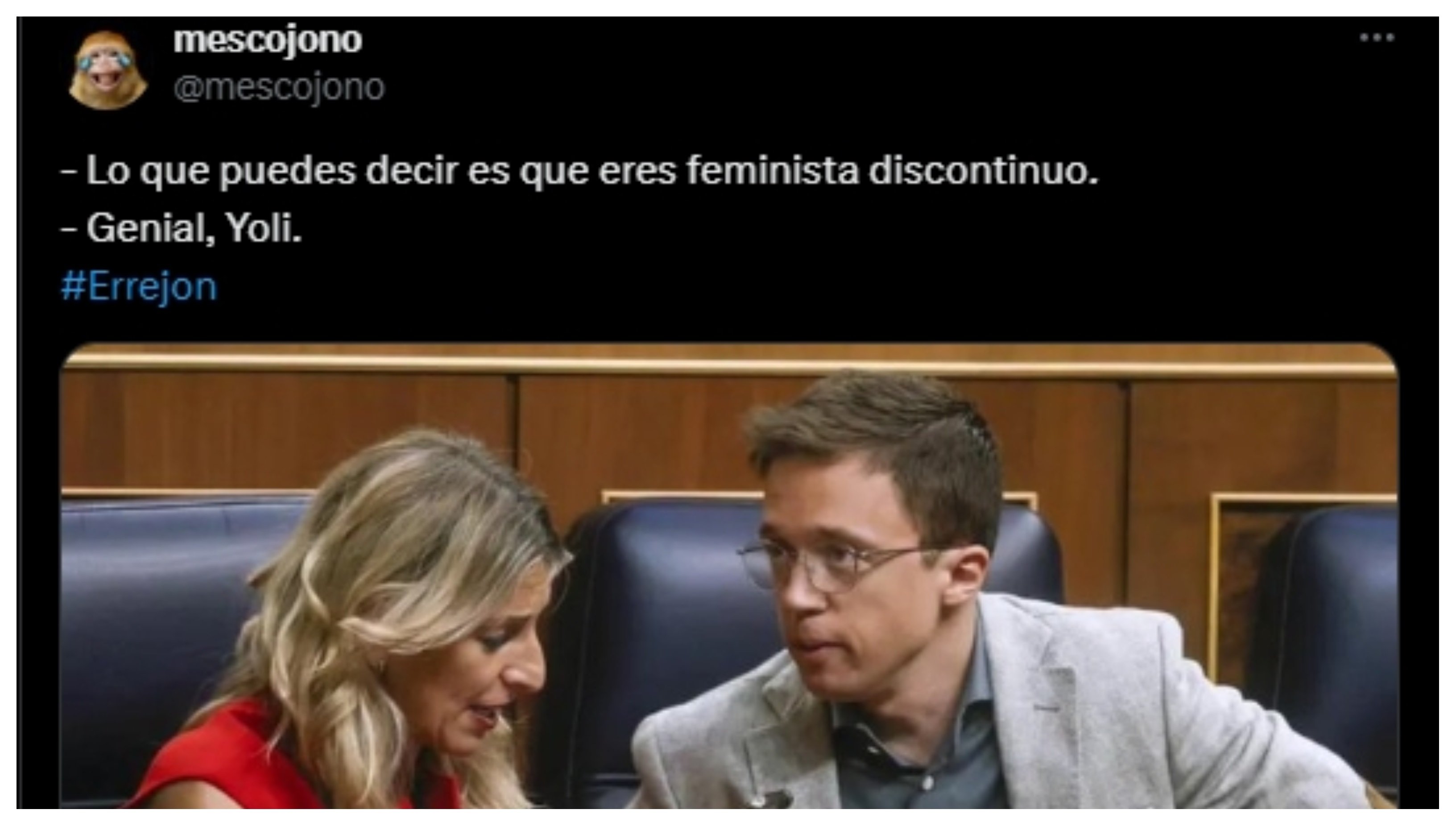 Feminista discontinuo