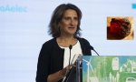 La ministra de Transición Ecológica en funciones, Teresa Ribera, la más ecologista del Gabinete Sánchez