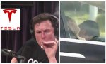 Elon Musk, responsable de Tesla y una pareja dormida al volante de uno de los vehículos de la marca