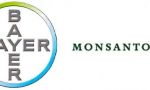 Bayer insiste en comprar Monsanto: pasa de su herbicida cancerígeno… la vida le importa poco