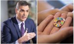 El pin de Sánchez