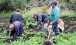 Colombia. El otro gran problema de Santos: la mitad de la población rural es pobre