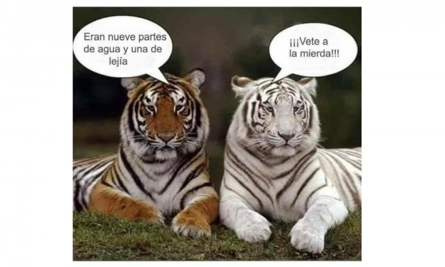 Tigres