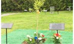 Primer cementerio ecológico: transforma tus cenizas en un manzano silvestre, arce azucarero, roble, gingko, lila, hortensia o arce amur