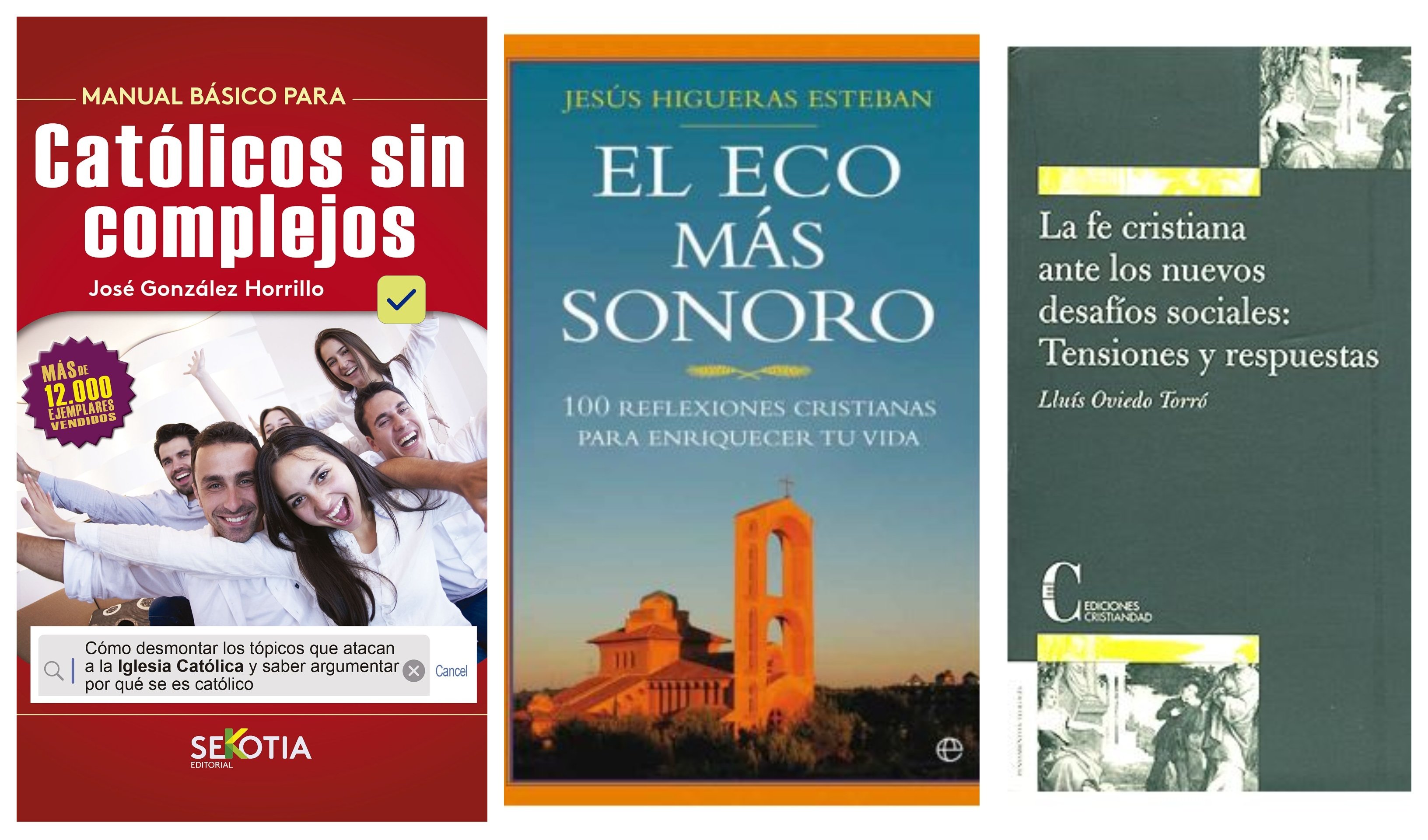 Libros Recomendados: ¿Dónde Están Los Obispos Españoles? ¿Por Qué Callan?