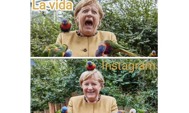 Merkel