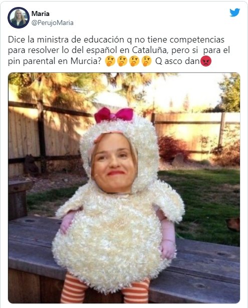 ministra educacion