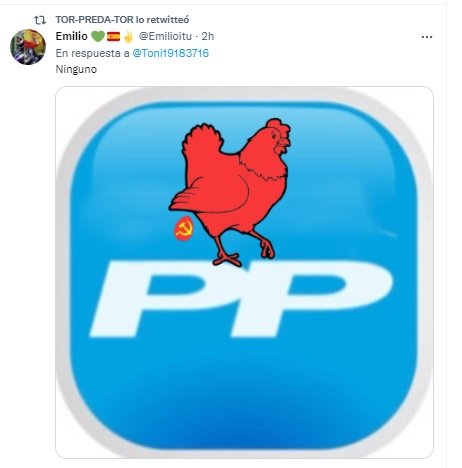 PP GALLINA