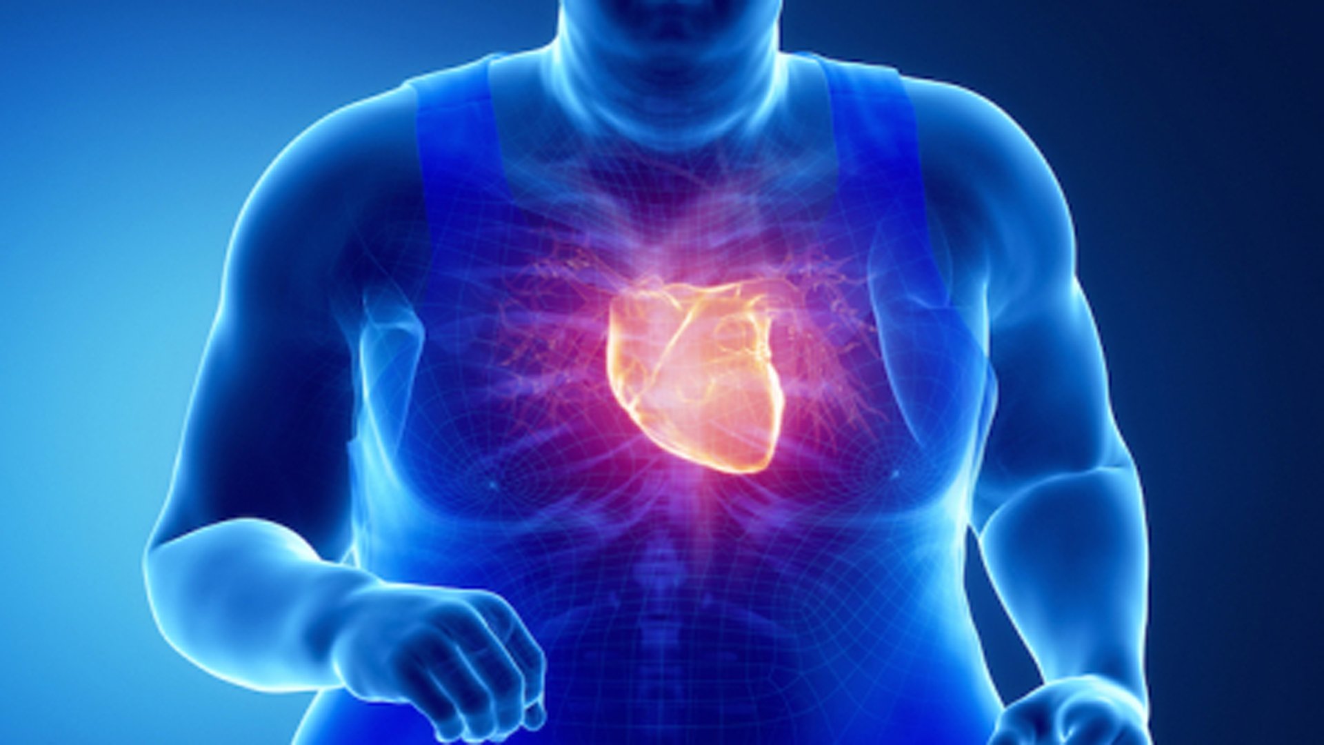 Exceso de barriga y riesgo cardiovascular