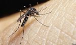 Zika. En lugar de abortar al virus abortemos al niño