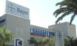 Bayer continúa exprimiendo a España