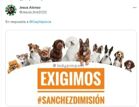 sanchez dimision animales