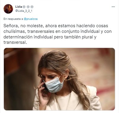 SEÑORA NO MOLESTES