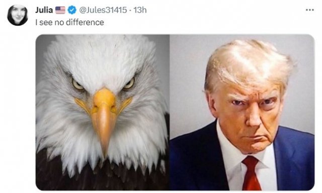 meme Trump y águila