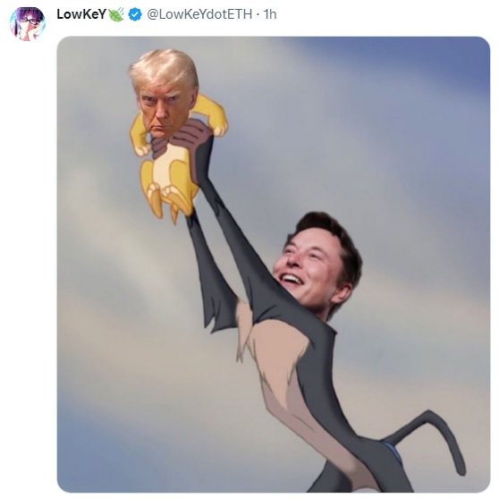 meme Trump y Musk