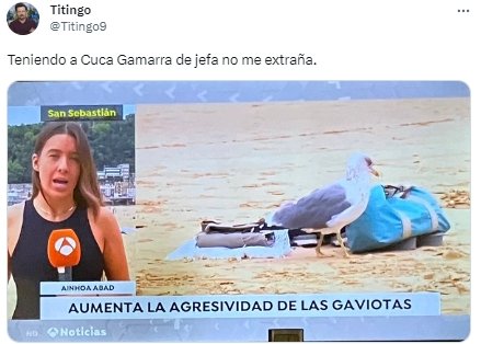 Agresividad de las gaviotas