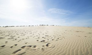 Dunas del Parque Nacional de Doñana