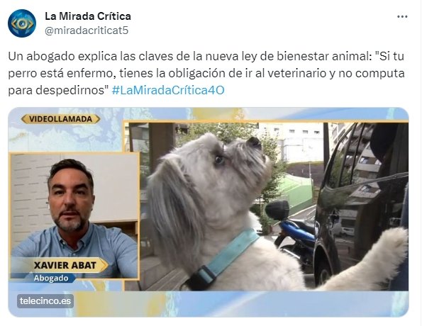 la mirada crítica