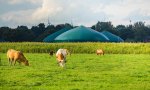 Las plantas de biometano contribuyen al desarrollo económico del mundo rural y la España vaciada.